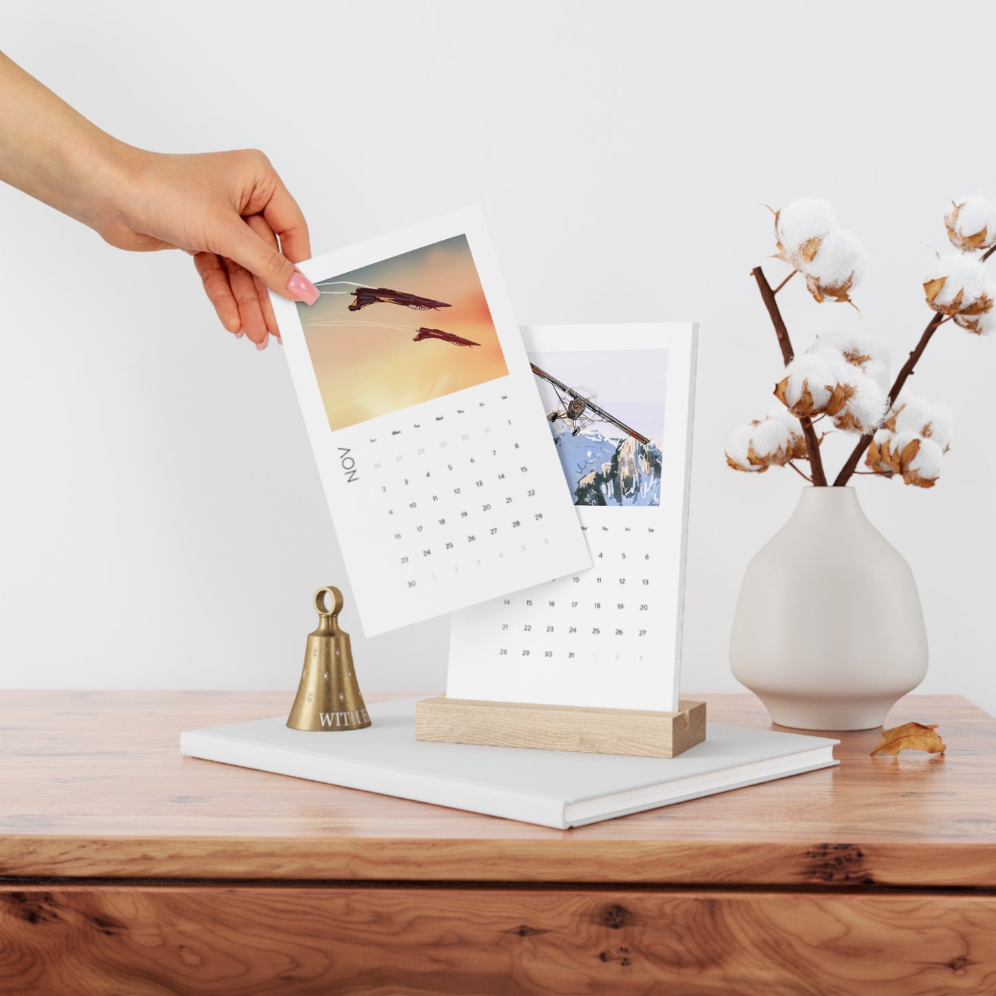 2025 Just Plane Monday Desk Calendar