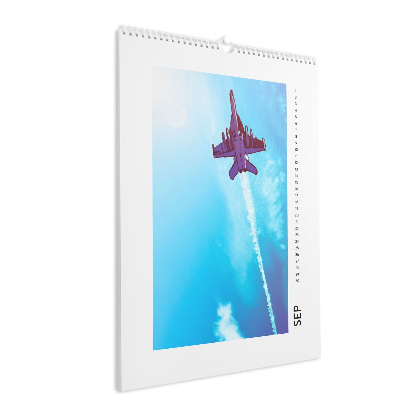 2025 Just Plane Monday Wall Calendar