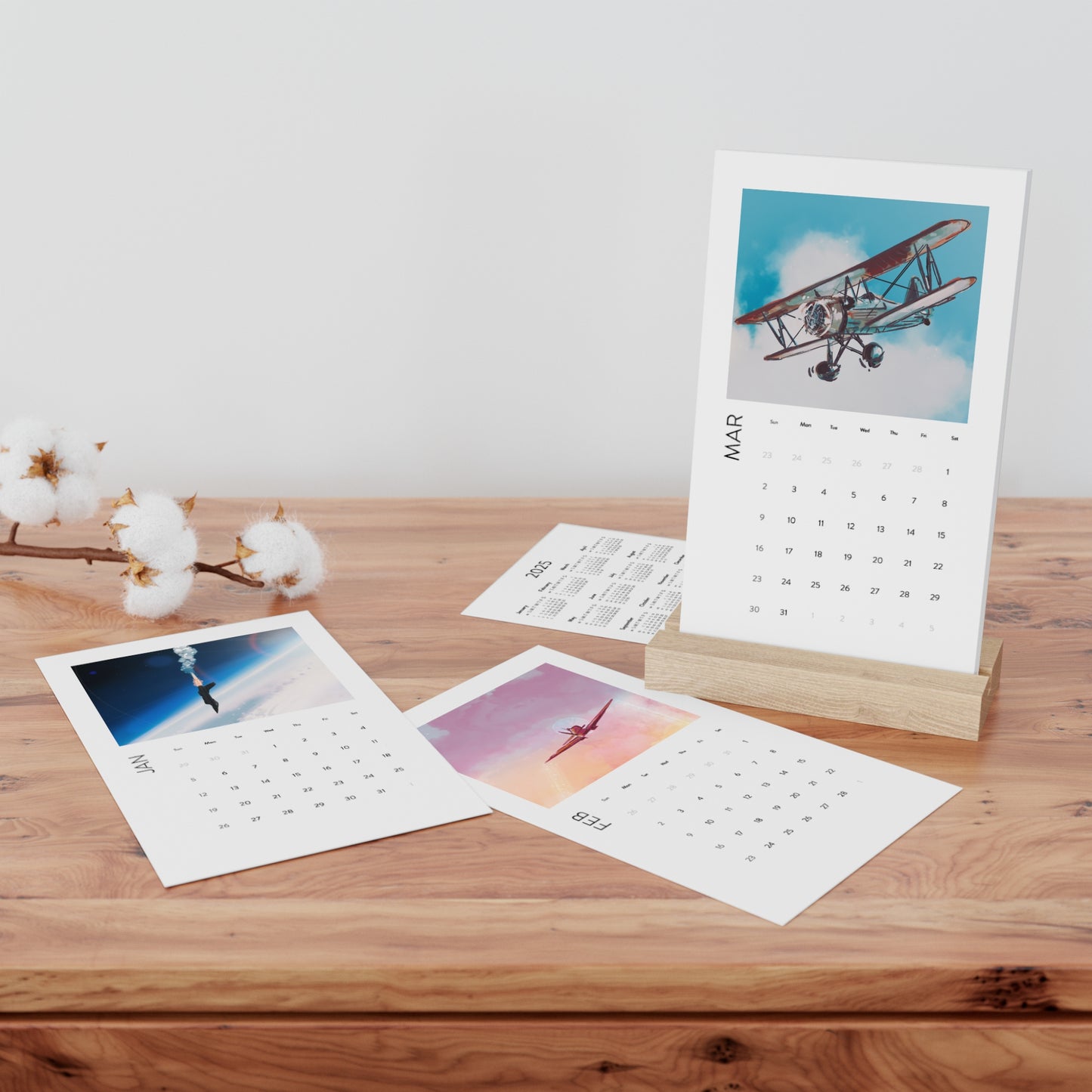 2025 Just Plane Monday Desk Calendar